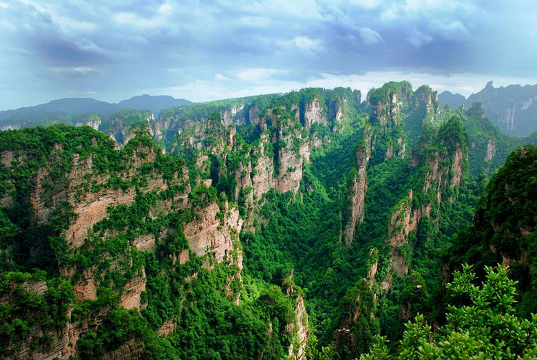 杨家界